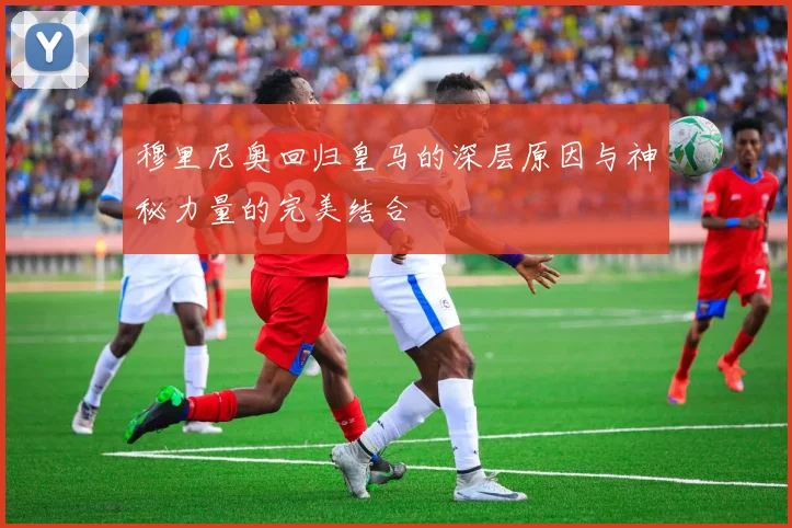 穆里尼奥回归皇马的深层原因与神秘力量的完美结合